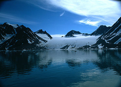 The Real Arctic