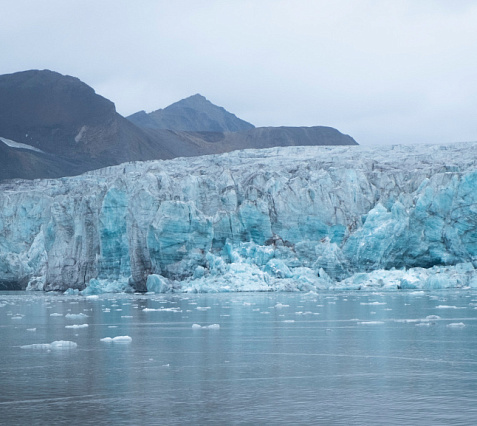 Northern cruise through Adventfjord and Isfjorden