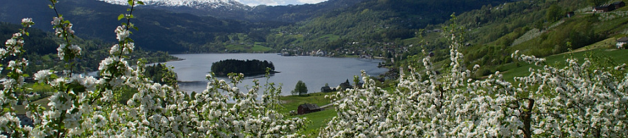 Day 5 Sognefjord - Hardangerfjord - Bergen, approx. 270 km