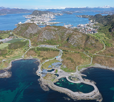 Discover Ålesund: City Walk, Atlantic Park&Sunnmøre Open-Air Museum